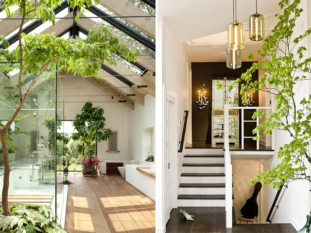 Indoor Gardens and Green Houses